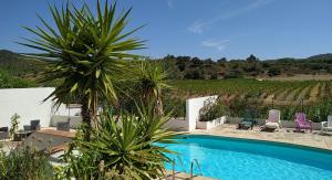 a swimming pool with palm trees and chairs and a vineyard at Les chambres d'hôtes du Relais d'Aguilar in Tuchan