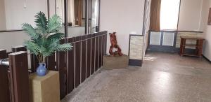 a hallway with a potted plant in a building at ASA Hotel in Yerevan