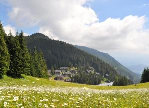 a group of houses on a hill in a field of flowers at Apartment MOUNTAIN BLOOM Golte in Mozirje