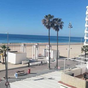 a sandy beach with palm trees and the ocean at Apartamento reformado con vistas al mar in Cádiz