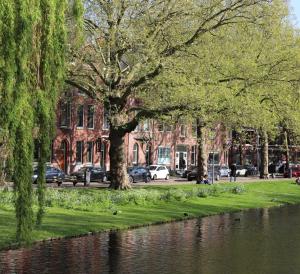 ein Park mit Bäumen neben einem Fluss mit Autos in der Unterkunft Mr.Lewis Rotterdam in Rotterdam