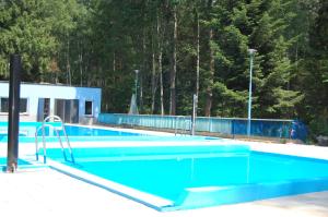 duży błękitny basen z drzewami w tle w obiekcie Leśna Radość w mieście Jastrząb