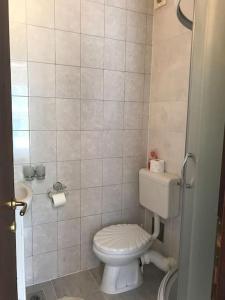 a bathroom with a toilet and a tiled wall at Two bedroom Apartment in Kotor Bay in Muo