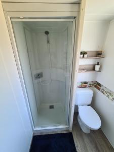 a bathroom with a shower and a toilet at Paradiso Rusinowo in Rusinowo