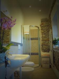 a bathroom with a sink and a shower and a toilet at Villa il Poderino in Marina di Campo