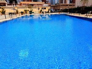 ベニドルムにあるOne bedroom Flat with shared pool in Acuarium IIの都市の青い水の大きなプール