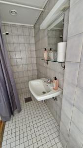 a bathroom with a sink and a mirror at Sognefjord Hotel in Hermansverk