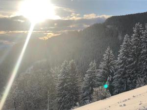 Premiumalmhütte Wiedhupf v zimě