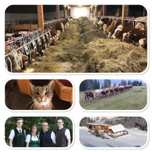 Fotografie z fotogalerie ubytování Premiumalmhütte Wiedhupf v destinaci Peterdorf