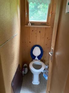 a small bathroom with a toilet with a window at Behagliches Chalet mit Kaminofen umgeben von Natur in Glarus