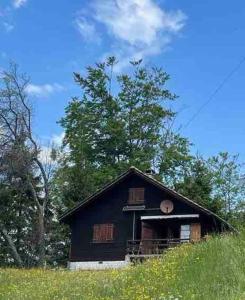 une maison noire au milieu d'un champ dans l'établissement Behagliches Chalet mit Kaminofen umgeben von Natur, à Glarus