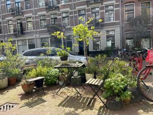 a patio with a table and chairs and plants at Marijke's guestroom in Amsterdam