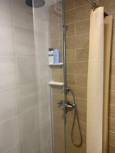 een badkamer met een douche en een glazen deur bij Mavrovo residence, 5 min walk to ski area in Mavrovo