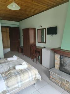 a bedroom with two beds and a fireplace and a television at Evridiki in Zagora