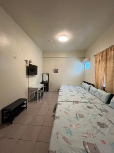 - une chambre avec un lit, un bureau et une télévision dans l'établissement Sin Yu Guest House, à Green Island