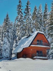 une cabane en rondins avec un toit recouvert de neige dans l'établissement Planinska kuća Dunja, à Jahorina