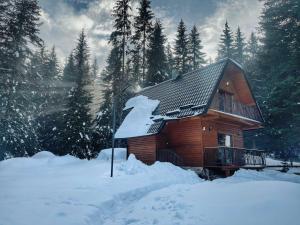 Cabaña de madera con nieve en el techo en Planinska kuća Dunja, en Jahorina