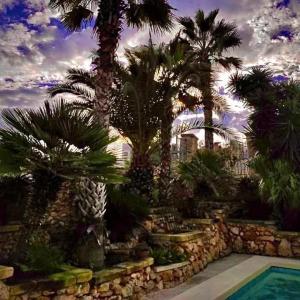 a house with palm trees and a swimming pool at Ta' Tereza in Xagħra