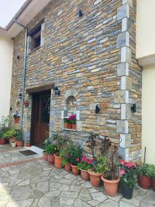 a brick building with a bunch of potted plants at Evridiki in Zagora