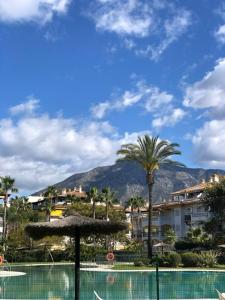 een zwembad met een palmboom en een gebouw bij La Dama de Noche - Marbella Puerto Banus in Marbella