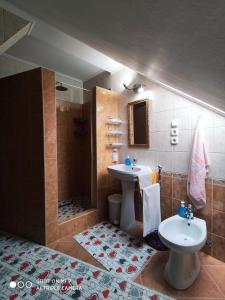 Újkígyós的住宿－Napsugár Vendégház，一间带水槽、淋浴和卫生间的浴室