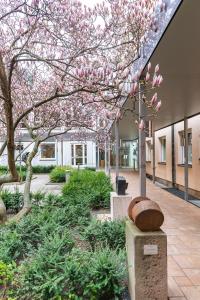 un albero di magnolia nel cortile di un edificio di Hotel der Akademie C. Pirckheimer Haus a Norimberga