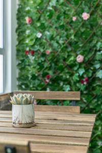 Mount Austin Midori Green 10 Pax Free Wi-Fi 500Mbps Netflix في جوهور باهرو: وعاء من الشيطانات يجلس على طاولة خشبية أمام النباتات