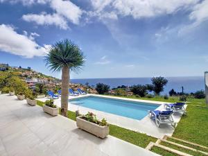 a swimming pool with chairs and a palm tree and the ocean at Avocado Villa by LovelyStay in Funchal