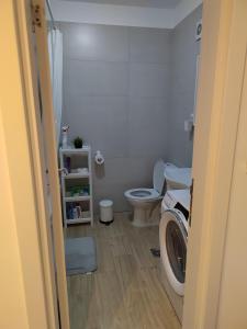 a bathroom with a toilet and a washing machine at Lovely one bedroom apartment in Ub