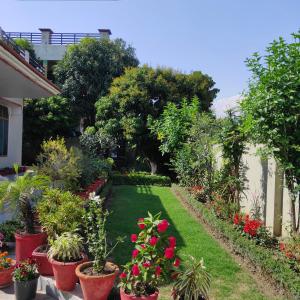 un jardin avec des fleurs et des plantes en pots dans l'établissement Bora's Homestay, à Haldwani