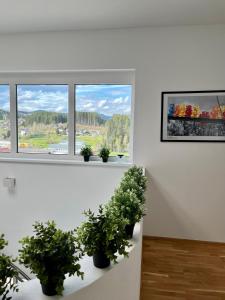 Fotografie z fotogalerie ubytování Athecada Frühstückspension v destinaci Birkfeld