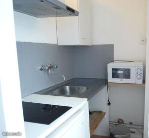 a small kitchen with a sink and a microwave at Apartement Lille in Lille