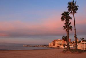 widok na plażę z palmami i budynkami w obiekcie Tesoro del Eden w mieście Torrevieja