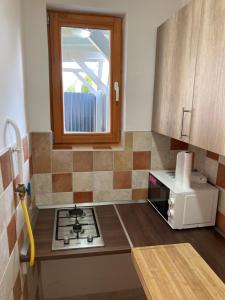 Kuchyň nebo kuchyňský kout v ubytování Bazsalikom-Apartman