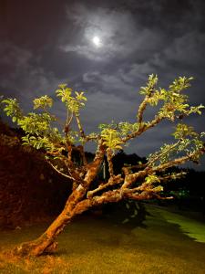 Fotografia z galérie ubytovania A Costa, Valle del Mendo v destinácii Oza dos Ríos