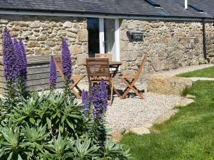 a garden with a wooden bench and purple flowers at Cobblestone Cottage in Penzance