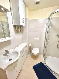 La salle de bains est pourvue d'un lavabo, d'une douche et de toilettes. dans l'établissement Apartment Luna Banjole, à Banjole