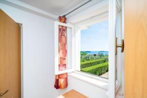 ventana en una habitación con vistas a un viñedo en Apartments Klis, en Mlini