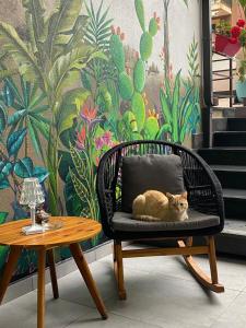 a cat sitting on a chair next to a table at Hotel Portum in Giardini Naxos