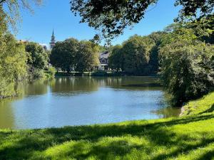 un lac dans un parc avec une maison au milieu dans l'établissement Grand Park Hotel, à Szczecin