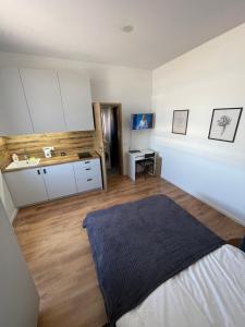 a bedroom with a bed and a sink and a counter at Airport Apartment 29 Self Check-In Free parking in Vilnius