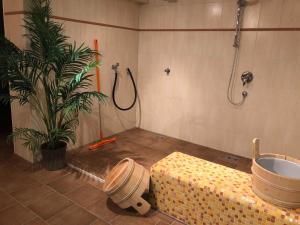 a bathroom with a shower and a toilet and a plant at Moderne Kurparkresidenz in Timmendorfer Strand