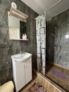 een badkamer met een wastafel en een douche bij Dvorska oaza in Sremski Karlovci