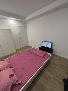 a bedroom with a pink bed and a tv at Cosmopolis Single Bedroom Apartment 204 in Creţuleasca