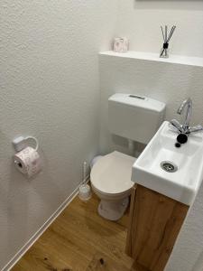 a bathroom with a white toilet and a sink at Übernachtungsmöglichkeit und Monteurzimmer in Hamdorf