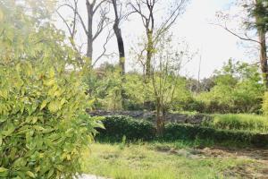 Vonkajšia záhrada v ubytovaní Gîtes Terra di a Bravona