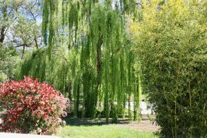 Vonkajšia záhrada v ubytovaní Gîtes Terra di a Bravona
