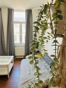 a plant sitting on a bed in a room at BnB Suikernest in Antwerp
