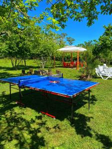 una mesa de ping pong azul en la hierba con sombrilla en Cottage Villa Ioseliani en Kumistavi