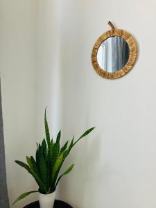 a plant in a white vase next to a mirror at BnB Suikernest in Antwerp